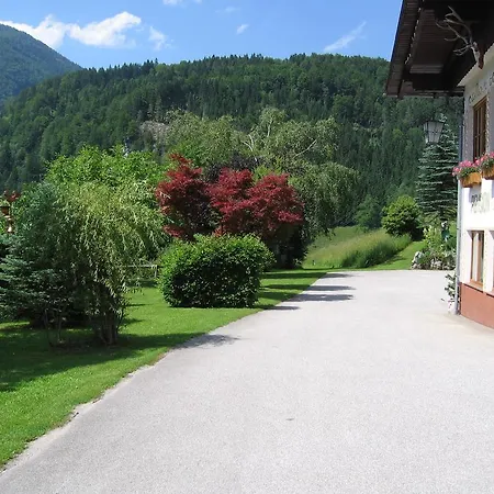 Hotel Backer-ferdl Panzio 3*