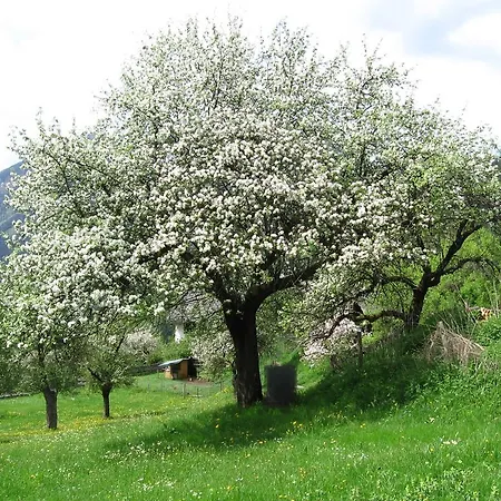 Hotel Backer-ferdl Panzio 3*