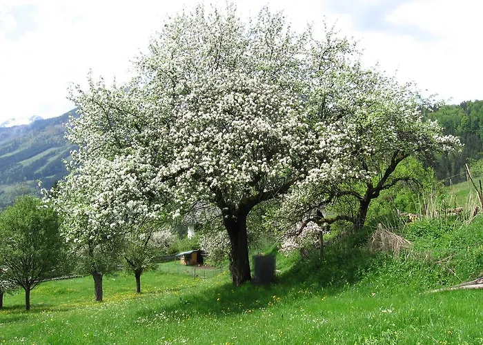 Ξενοδοχείο Backer-ferdl Panzio 3*