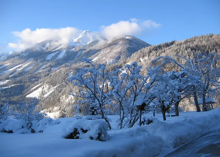 Ξενοδοχείο Backer-ferdl Panzio Hinterstoder